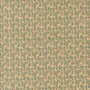 Daisy Lane, Kansas Troubles, Cotton Fabric, Half Yard, 9764 11