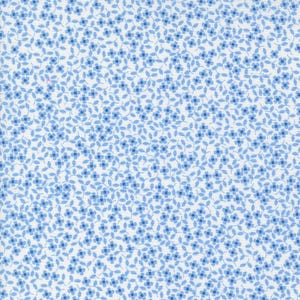 Cali Co, Corey Yoder, Cotton Fabric, Half Yard, 29193 22