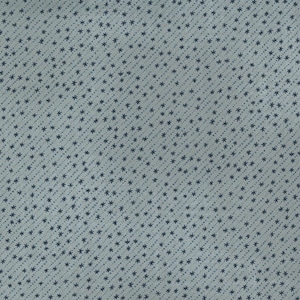Astra, Janet Clare, Cotton Fabric, Half Yard, 16924 16