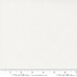 Coriander Seeds, Corey Yoder, Cotton Fabric, 29145 11