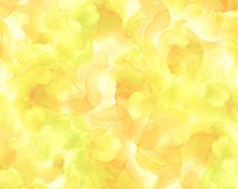 Aura, QT Fabrics, Tela de algodón, Media yarda, 30198-SZ