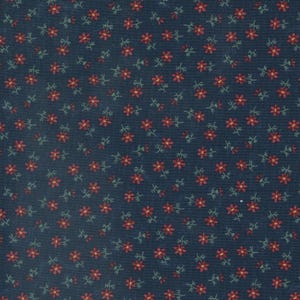 Daisy Lane, Kansas Troubles, Cotton Fabric, Half Yard, 9763 14
