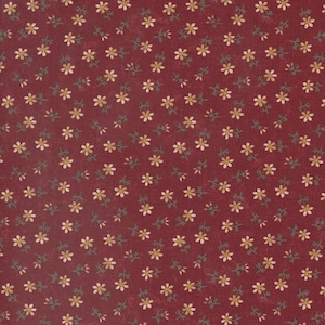 Daisy Lane, Kansas Troubles, Cotton Fabric, Half Yard, 9763 13