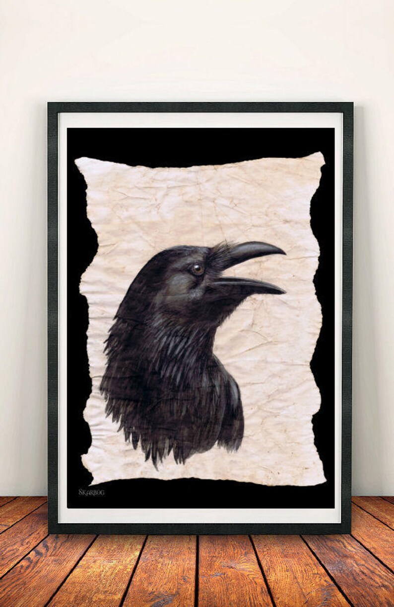 May include: A black raven with its beak open, drawn in black and grey tones on a textured, off-white paper background. The image is framed in black.