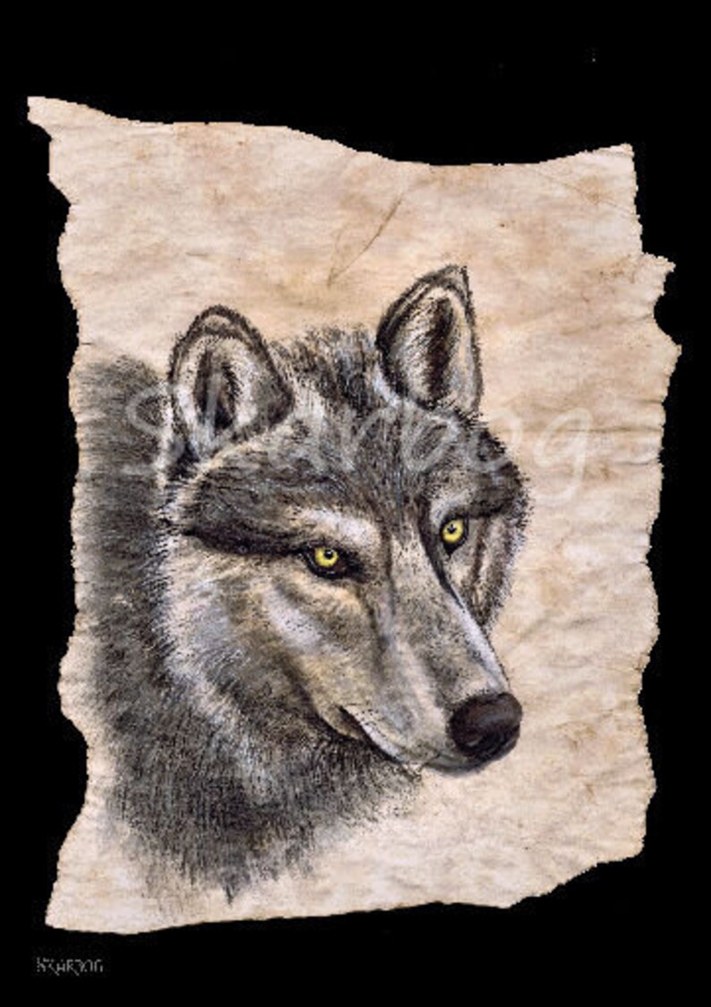 May include: A detailed drawing of a wolf's head on a textured, beige background. The wolf has a grey and black coat with bright yellow eyes.