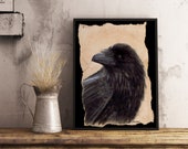 3-eyed raven / Corvus Corax / Thrones / mythological / Pagan / winter /  raaf / Nice yule gift for family / friends