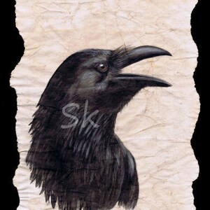 May include: A black raven with a long beak, depicted on a textured, off-white paper background.