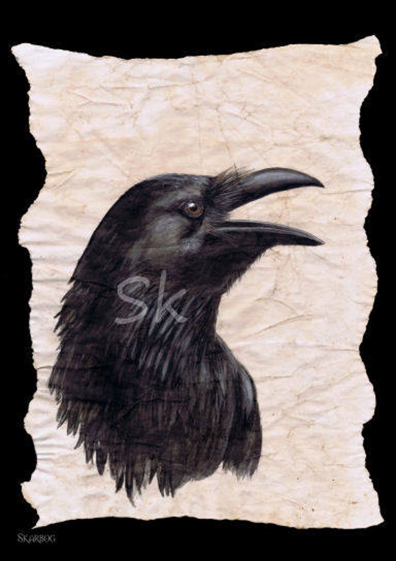 May include: A black raven with a long beak, depicted on a textured, off-white paper background.