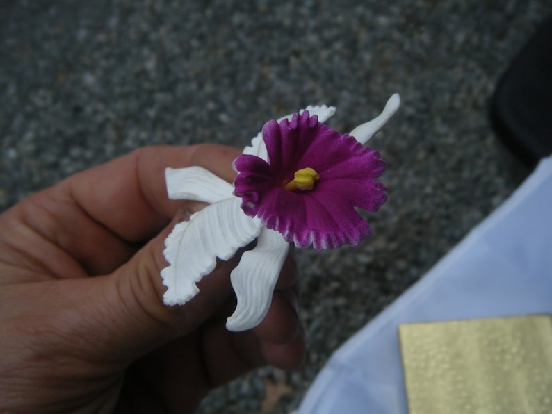 Vintage Ges Gesch 126 White /& Purple ResinPlastic Floral Brooch Signed