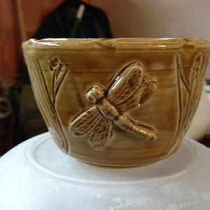 Dragonfly in Amber stoneware bowl