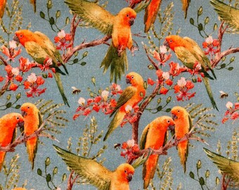 Parakeet fabric wall decor, noticeboard, memo board, wall organiser, jewellery hanger - assorted sizes - white ribbon.