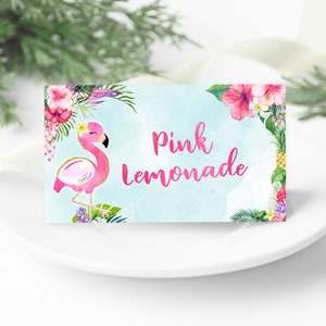 Plantilla de etiqueta de comida para fiesta de flamencos imprimible, plantilla de tarjetas de lugar para fiesta con temática de flamencos, descarga instantánea editable FPTY