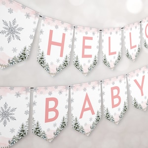 Baby It's Cold Outside Girl Baby Shower Bandierine Banner Sign - Fiocco di neve invernale Baby Shower - Download digitale stampabile CP161BBS