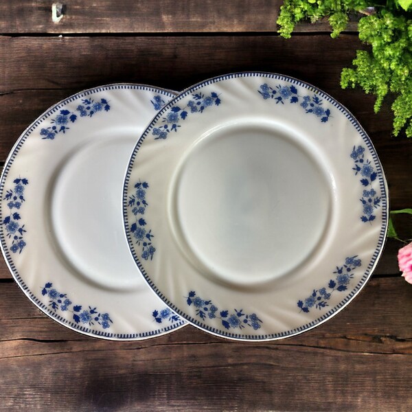 Blue Pattern Plates Etsy