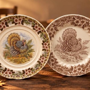 May include: Two round ceramic dinner plates featuring a central turkey illustration. The left plate displays a full-color turkey with a floral border, while the right plate features a monochromatic brown turkey design with a matching floral rim.