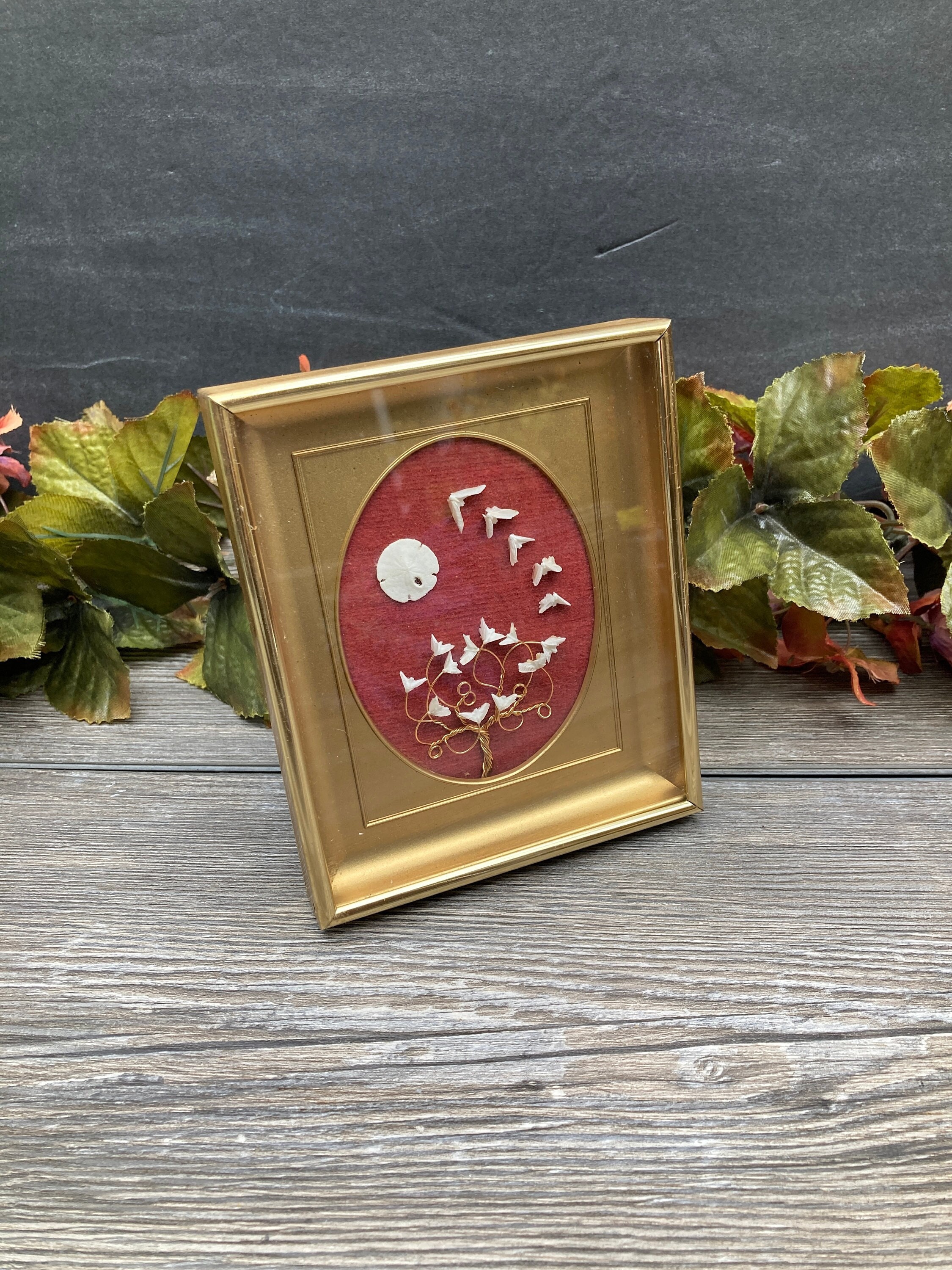 Sand Dollar Legend - Etsy