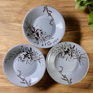 May include: Three blue and white ceramic plates with a floral design. The plates have a raised rim and a center well. The floral design is in brown and features a variety of flowers and leaves.