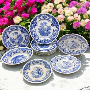 May include: A set of blue and white porcelain plates with a floral pattern. The plates are arranged in a circle on a white surface.