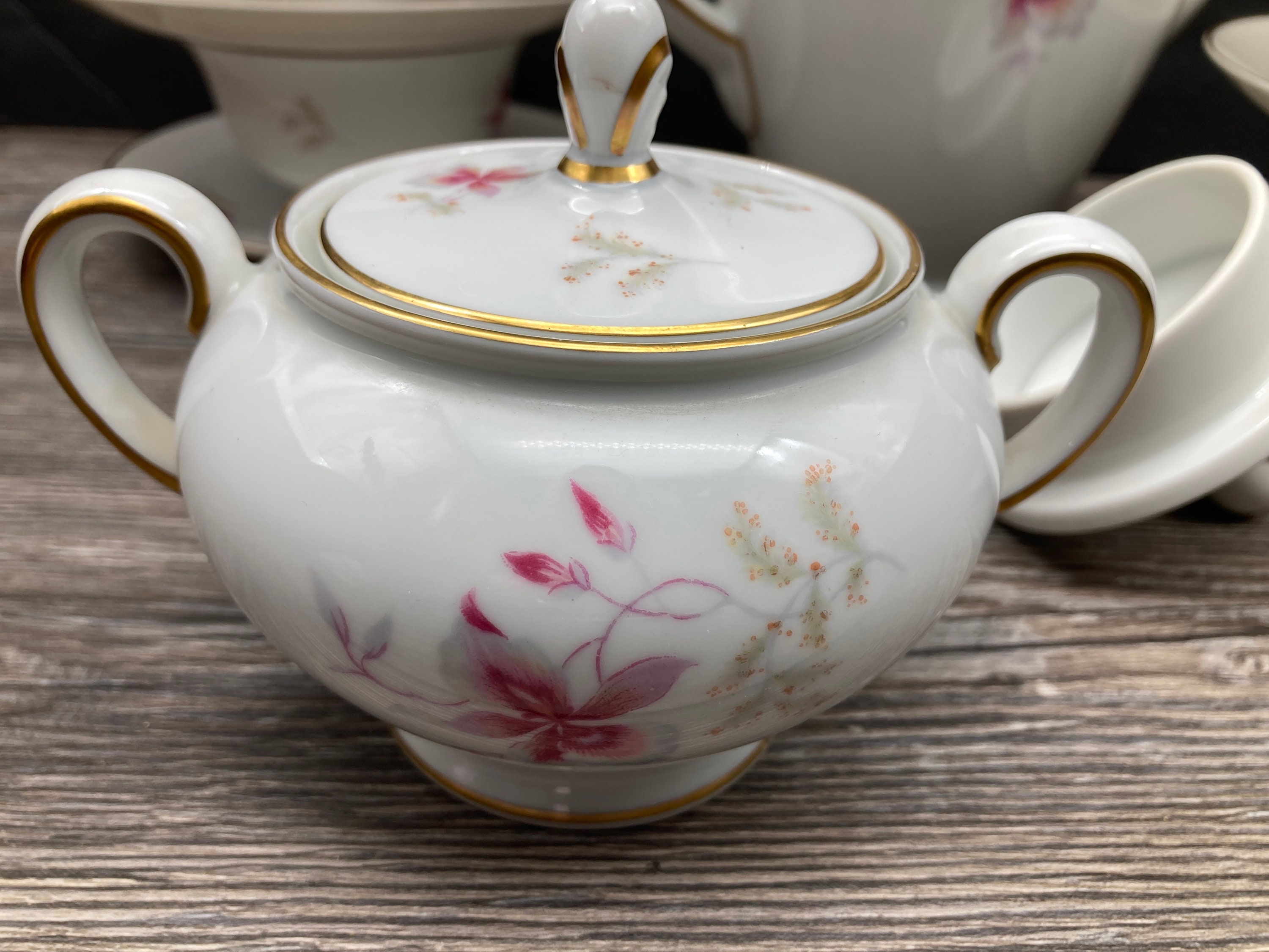 1950s Rosenthal Orchid China: Bavaria Coffee Pot, Sugar Bowl, or