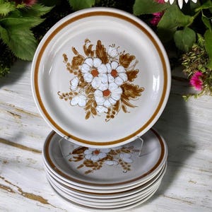 MOUNTAIN WOOD Collection Stoneware &quot;Dried Flowers&quot; Vintage Stoneware 10-3/8&quot; ONE Dinner Plate Farmhouse Country CottageCore Kitchen