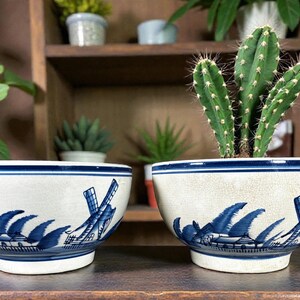 May include: Two white ceramic bowls with a blue windmill and wave design. One bowl contains a cactus. The bowls have a blue stripe around the rim. The bowls are on a wooden surface.