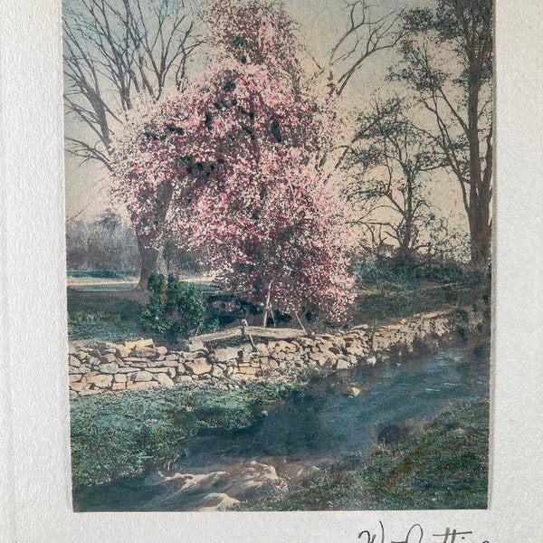 Antique WALLACE NUTTING Hand -Tinted Photograph ~ Signed and Framed~Landscape Scene Collectible Artist Framed Wall Art Decor stoneridgeattic