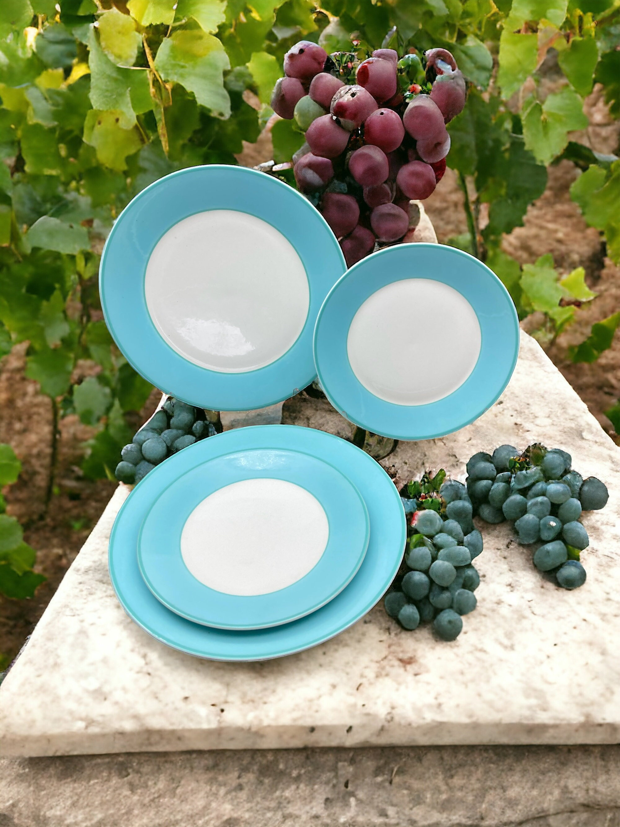 Pagnossin Plate - Etsy