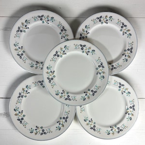 Vintage Myott&#39;s Silver Birch Dinner Plate: Cottagecore Farmhouse China