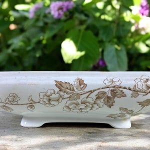 Antique Wileman Shelley Transferware Serving Dish Brown Floral Vegetable Bowl Footed English Ironstone Victorian
