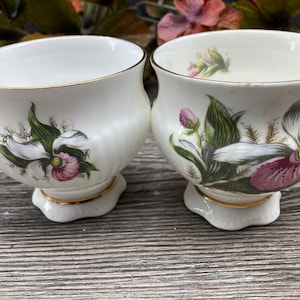 Canadian Provincial Flowers by ELIZABETHAN &quot;Lady&#39;s Slipper&quot; ~Set of 2~ Footed Vintage Teacups Gold Trim Bone China Made in England