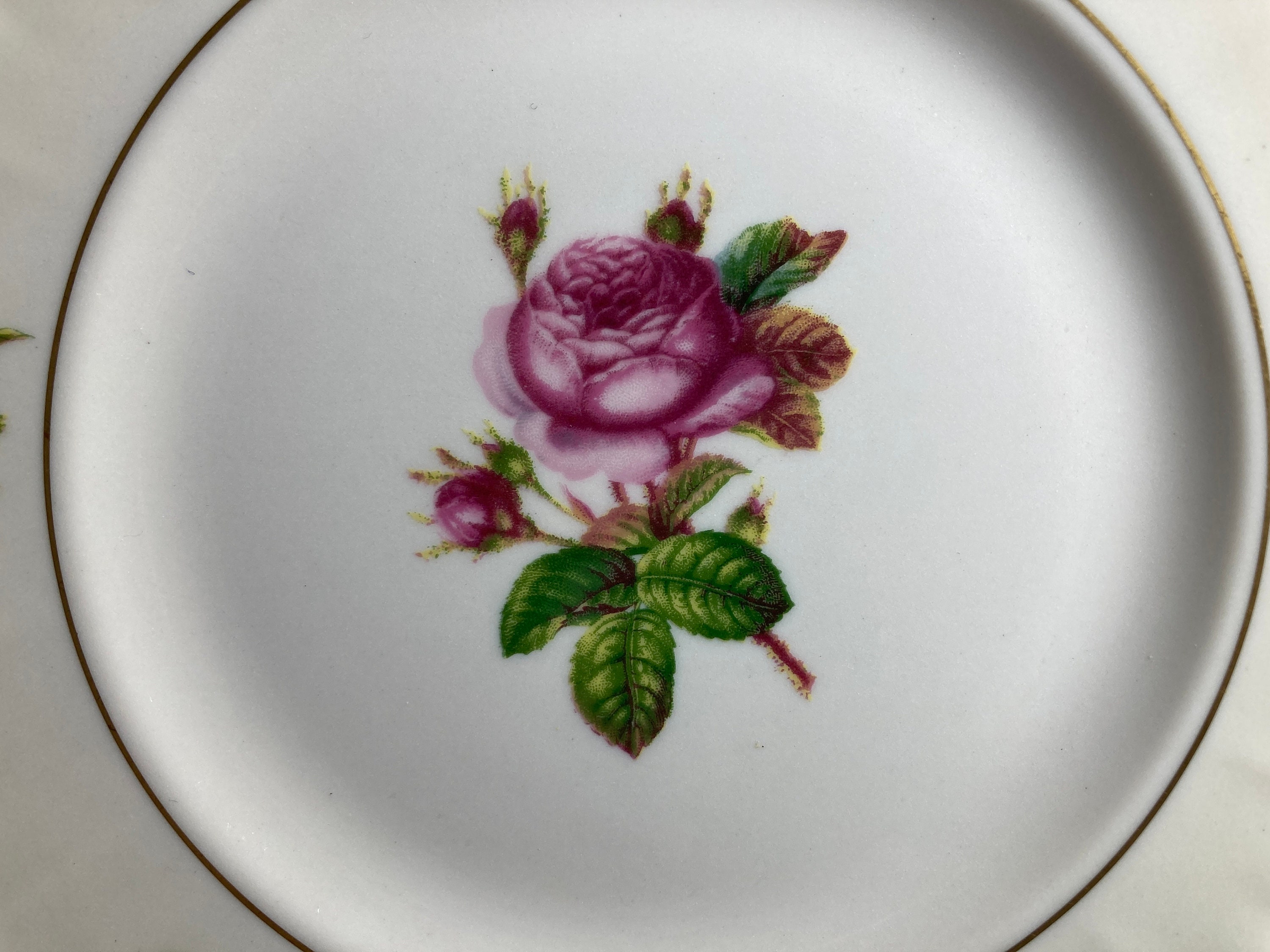 1950s Syracuse China Victoria Rose Dinnerware: Gold Trim Cottage