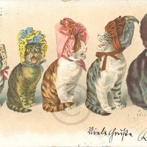 Carte Postale Ancienne Allemande, CPA 1900, Chat Humanisé, Litho Druck Kutzner Berger,  CPA Précurseur, Dos non divisé