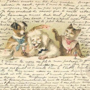 Carte Postale Ancienne Illustrateur 1904, Chat et Chien Humanisés, Chromo Lithographie, CPA Précurseur, Dos Non Divisé, Saint Valentin
