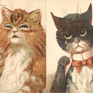 Carte Postale Ancienne Lithographie 1901-1902, Illustrateur Louis Wain, Chat Humanisé, TSN Theo Stroefer, CPA Précurseur, Dos non divisé