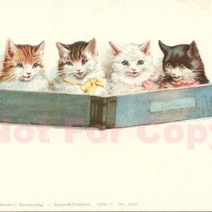 Carte Postale Ancienne, Helena Maguire, Chat Chatons Lisant un Livre, Chromo Lithographie, Theo Stroefer, Dos non divisé, Non Voyagée