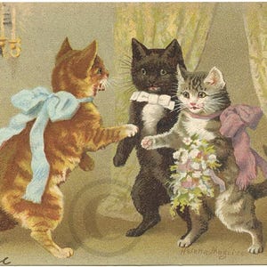 Carte Postale Ancienne 1905 Signée Helena Maguire, Chats Humanisés, Mariage, Cérémonie, Chromo Lithographie, CPA Précurseur, Dos non divisé