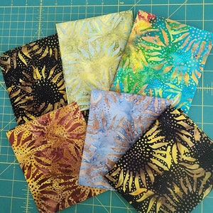 SUNFLOWER FQ PACK - New combo
