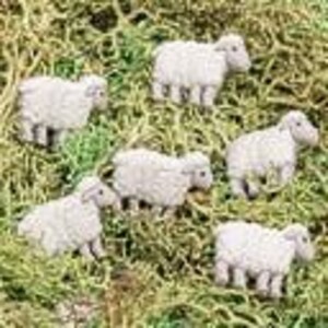 May include: Six small, white sheep figurines are arranged on a bed of green moss. The sheep have a textured, woolly appearance and are in various poses, some standing and others looking to the side. The figurines are a light gray color.