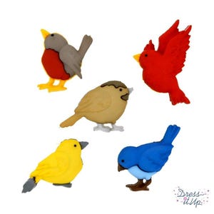 FEATHERED FRIENDS BUTTONS