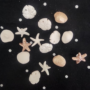 May include: A collection of white and gold seashells and starfish on a black background. The seashells are various shapes and sizes, and some have a glittery finish.