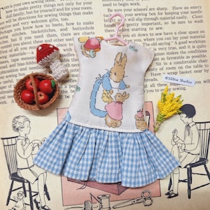May include: A blue and white gingham dress with a Peter Rabbit print. The dress is on a hanger and has a ruffle at the bottom. There are small red apples in a basket and a red and white mushroom next to the dress.