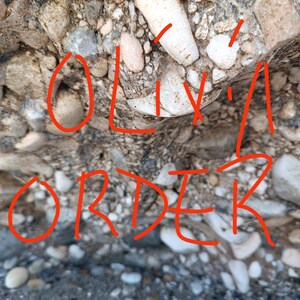 Special order for Olivia