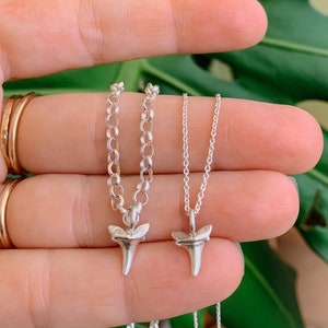mini shark tooth necklace in silver or gold