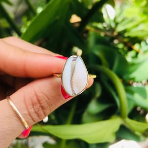 gold cowrie shell ring