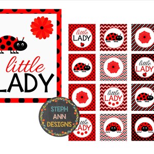 Little Lady Baby Shower Decor-printable Items-ladybug Themed Shower - Etsy