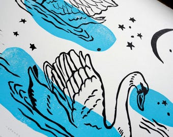 Swan Lake Multi Color Block Print