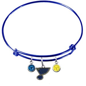  St. Louis Blues Charm Fits Compatible With Pandora Style  Bracelets : Sports & Outdoors