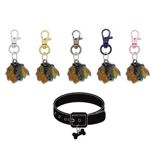 Chicago   Pet Tag Collar Charm - Universal Clip on Swivel Charm for Dog Cat Pet