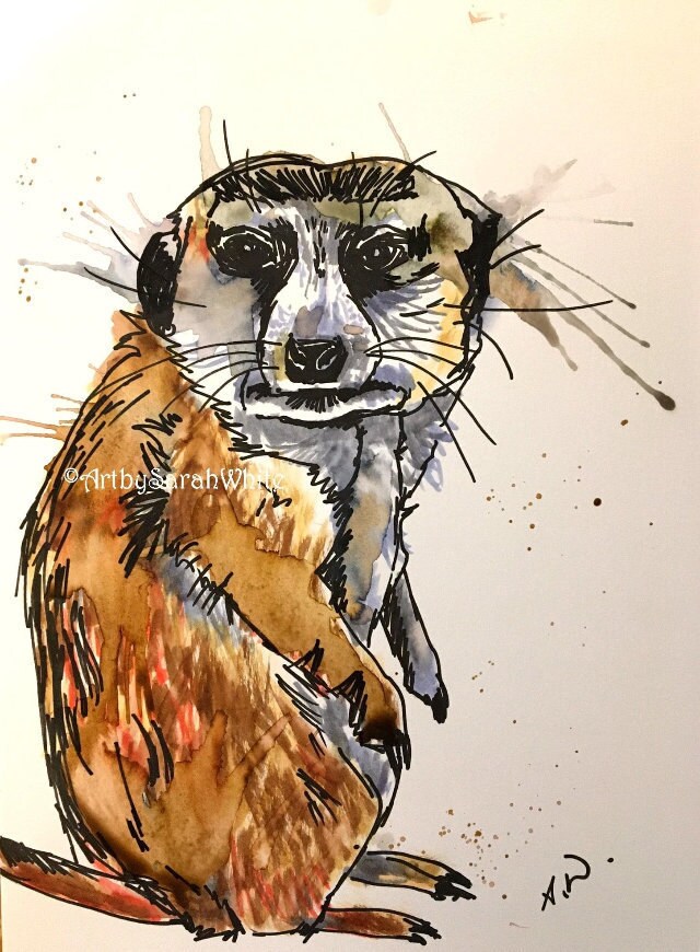Meerkat Original drawing sketch meerkats pen wild | Etsy