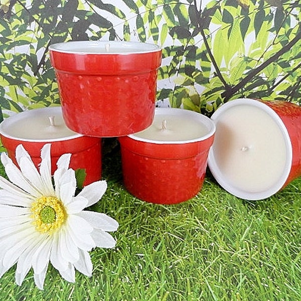 Mosquito Repellent Soy Candles Citronella Candles Insect Repellent Patio Set Of 4 Soy Wax Hand Poured Highly Fragranced PureAndSimpleCandles